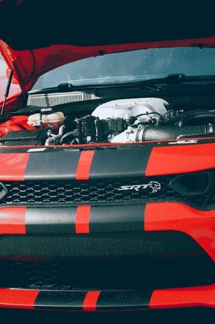 image-guided srt