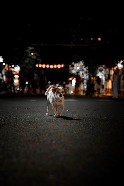the incident of the dog in the nighttime pdf