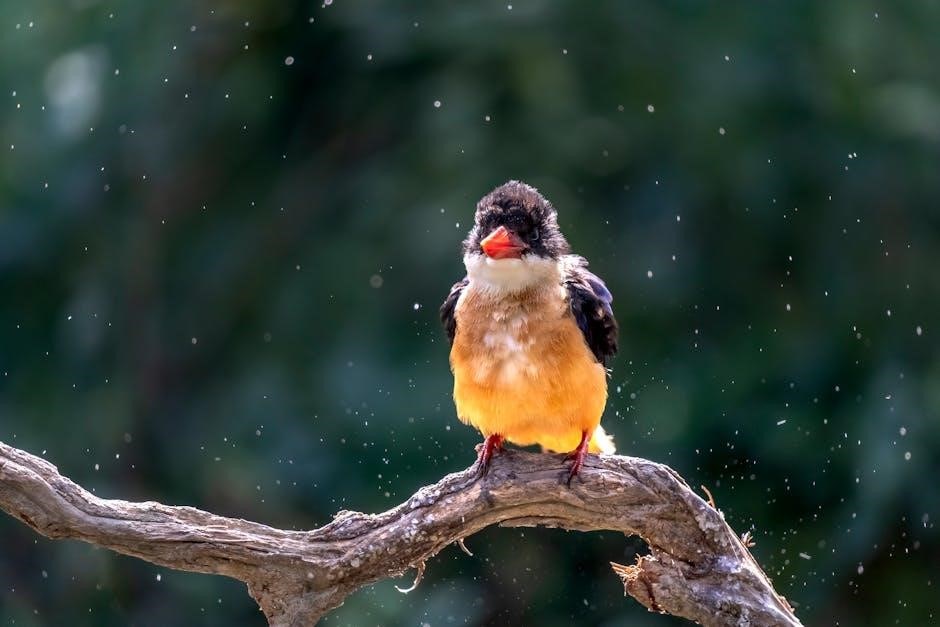 rain bird irrigation system manual