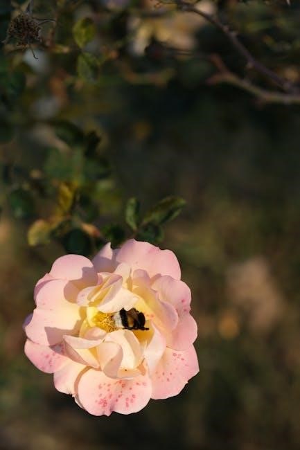 monterey garden insect spray instructions
