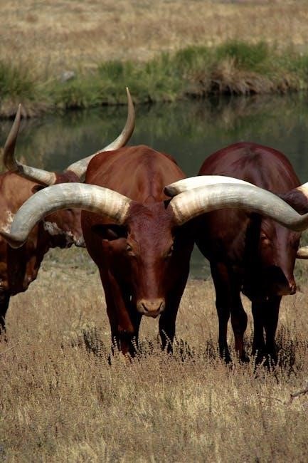 android programming big nerd ranch guide